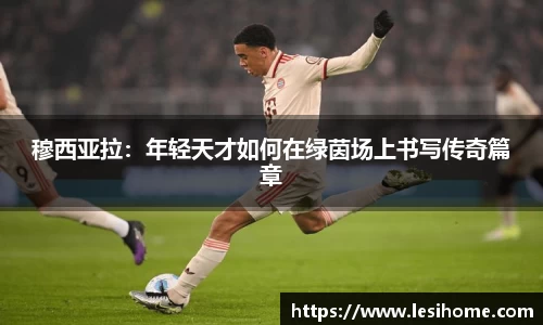 NG体育官网