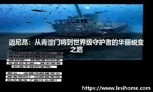 NG体育平台