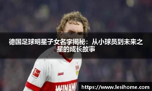 NG体育官方网站