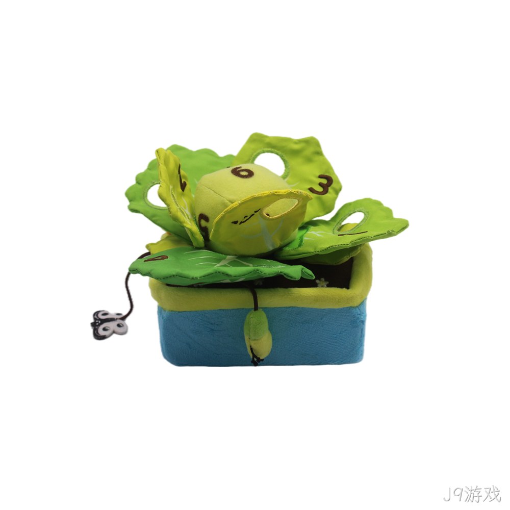 包菜盆栽